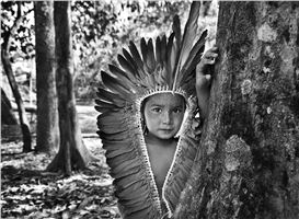 Documenting Amazonia — and the Amazing Resilience of the Earth
