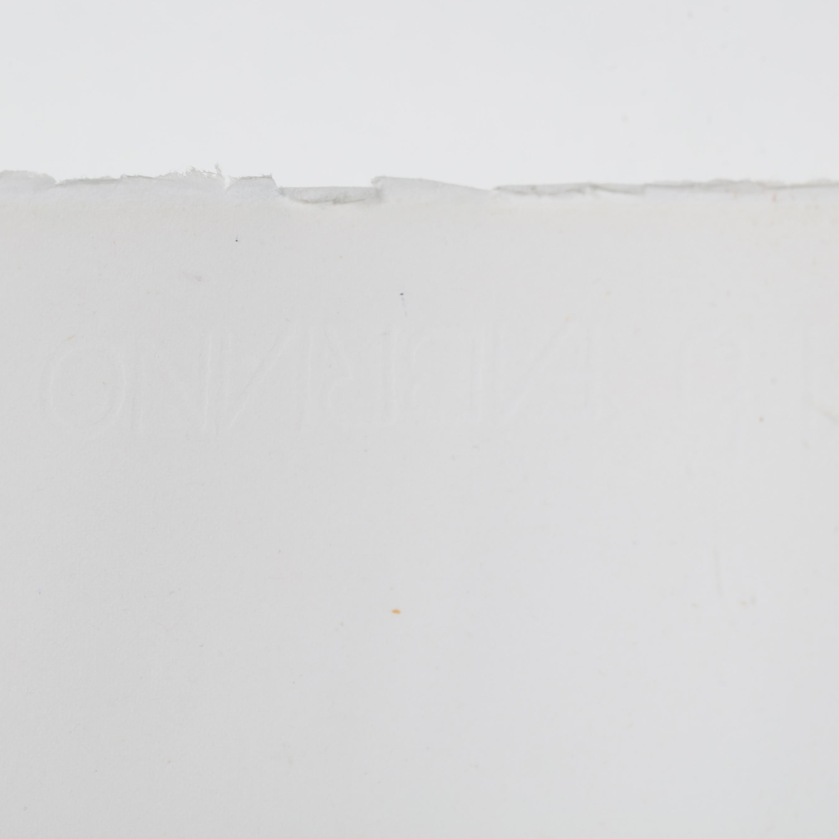 Tino Zago Untitled MutualArt