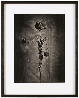 Utan titel - Johan Renck