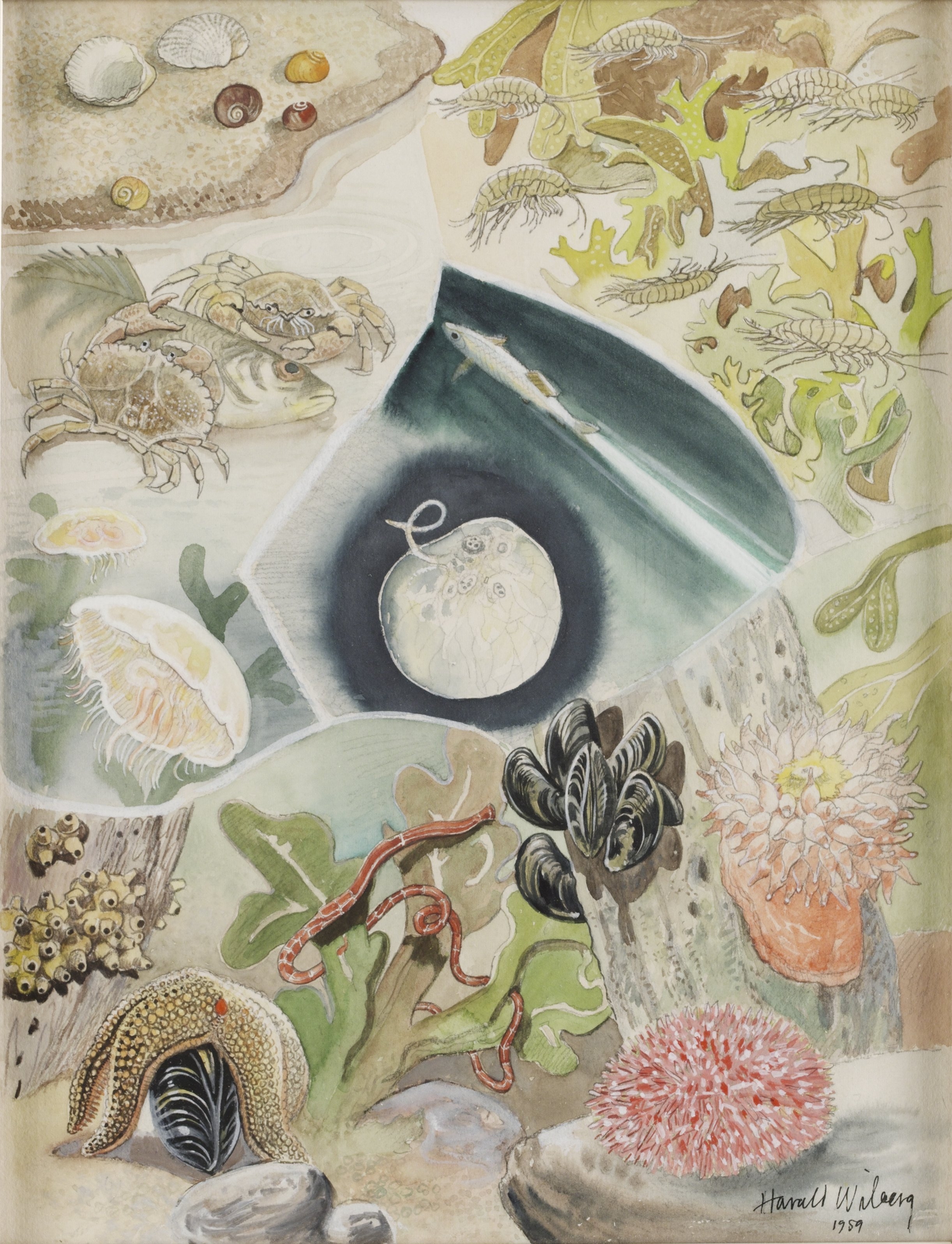 Harald Wiberg | 148 Artworks at Auction | MutualArt