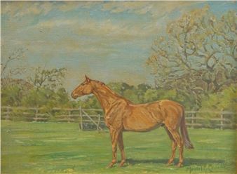 Chestnut thoroughbred in a paddock - Muriel Elise Crooke