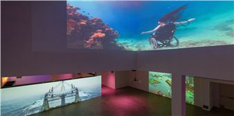 The Ocean, a Backdrop Against Which Exploitation and Pleasure Unfold