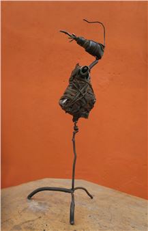 Poule costumée - Lionel Tonda