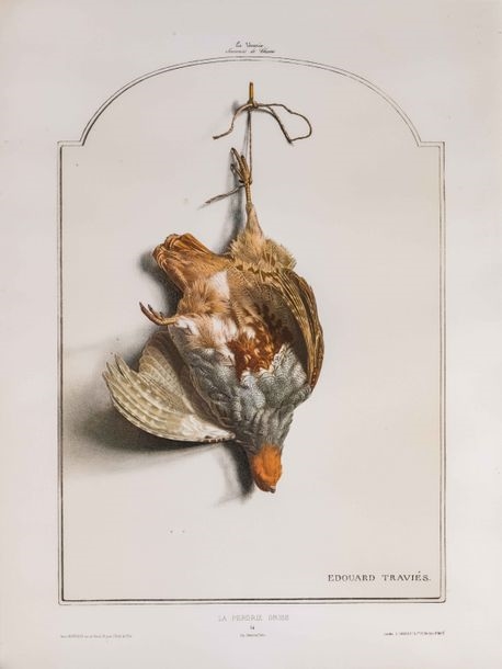 La perdrix grise La Vénerie, Souvenirs de chasse by Édouard Traviès