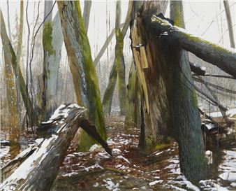 Dramaturgy of Landscape - Gallery Daugava