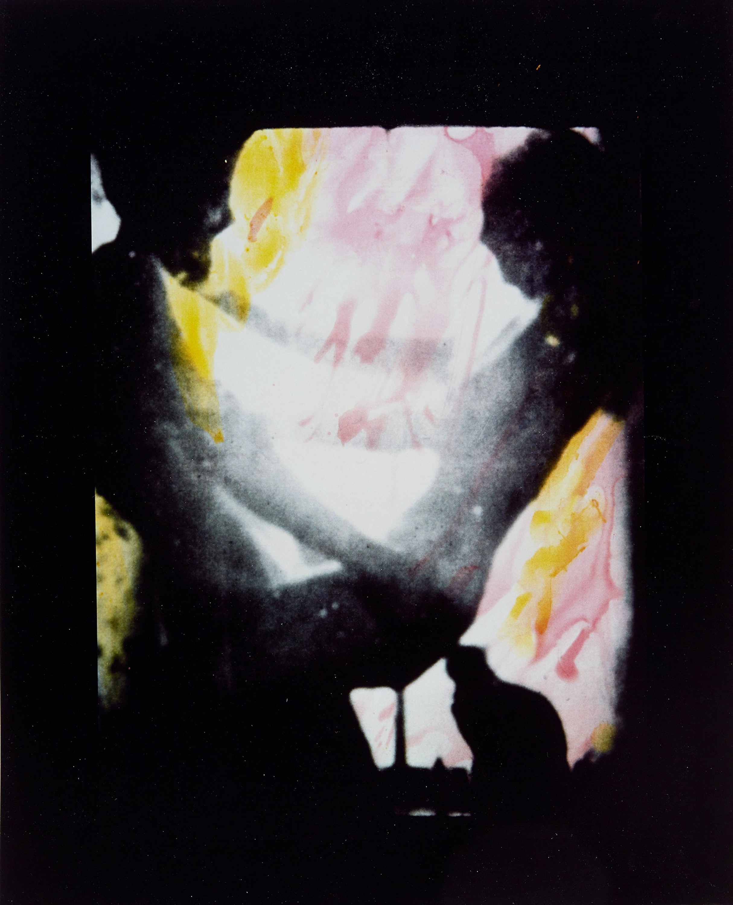 Carolee Schneemann Untitled Film Still (from Fuses) MutualArt