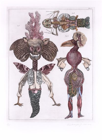 Jan Švankmajer | PŘÍRODOPIS, TAB. 1 (1975 - 2012) | MutualArt