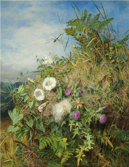 Wild flowers at the corner of a cornfield by Martha Darlay Mutrie