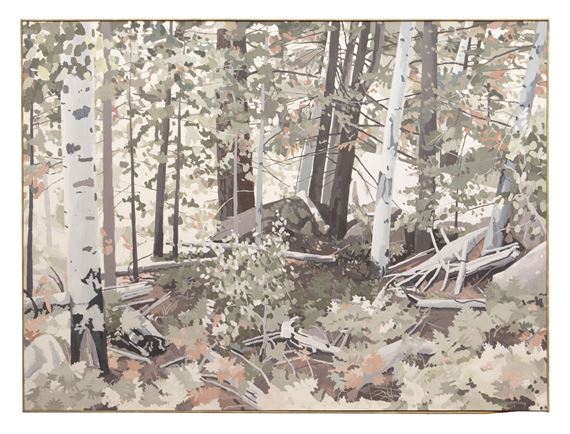 Mount Humphrey Summer - Jerry Gunning