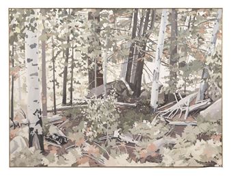 Mount Humphrey Summer - Jerry Gunning