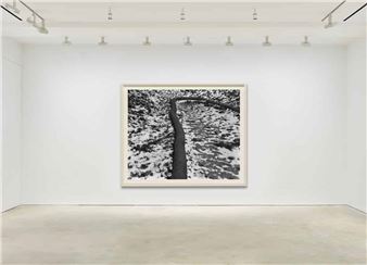 Terence Falk: Remains to Be Seen - Robert Berry Gallery