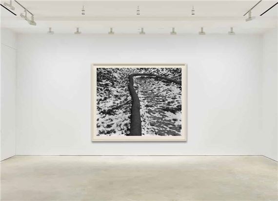 Terence Falk: Remains to Be Seen - Robert Berry Gallery