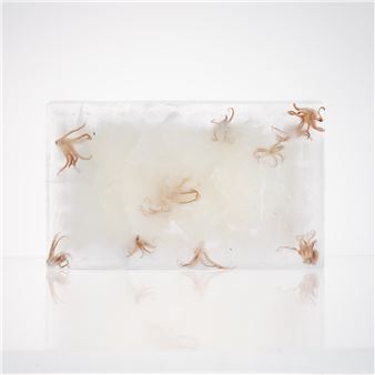 Bénédicte Vanderreydt: Mater Semper (Certa) Est - Arielle D'Hauterives