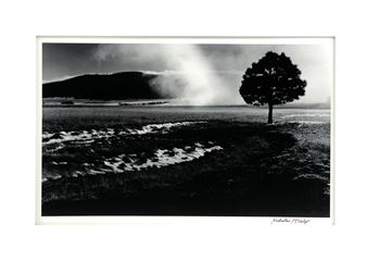 "UNTITLED " - Nicholas Mccalip