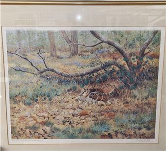 a Curlew sitting on her eggs - Robert Richard