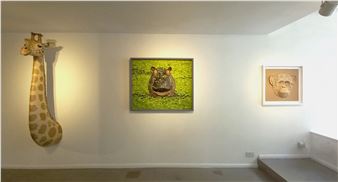 Josh Gluckstein: Africa - Woolff Gallery
