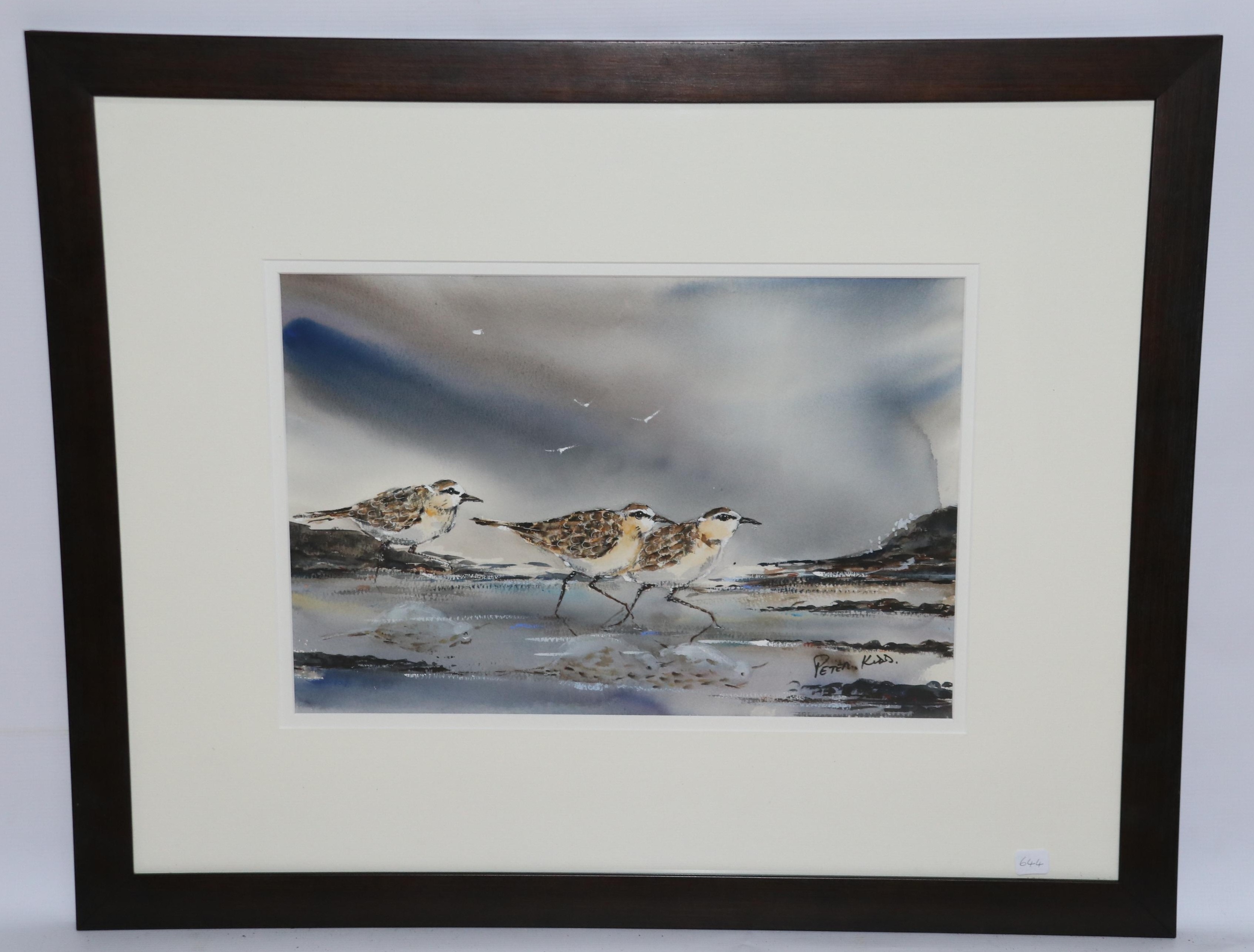 Artwork by Peter Kidd, White fronted plovers, Made of WATERCOLOUR
