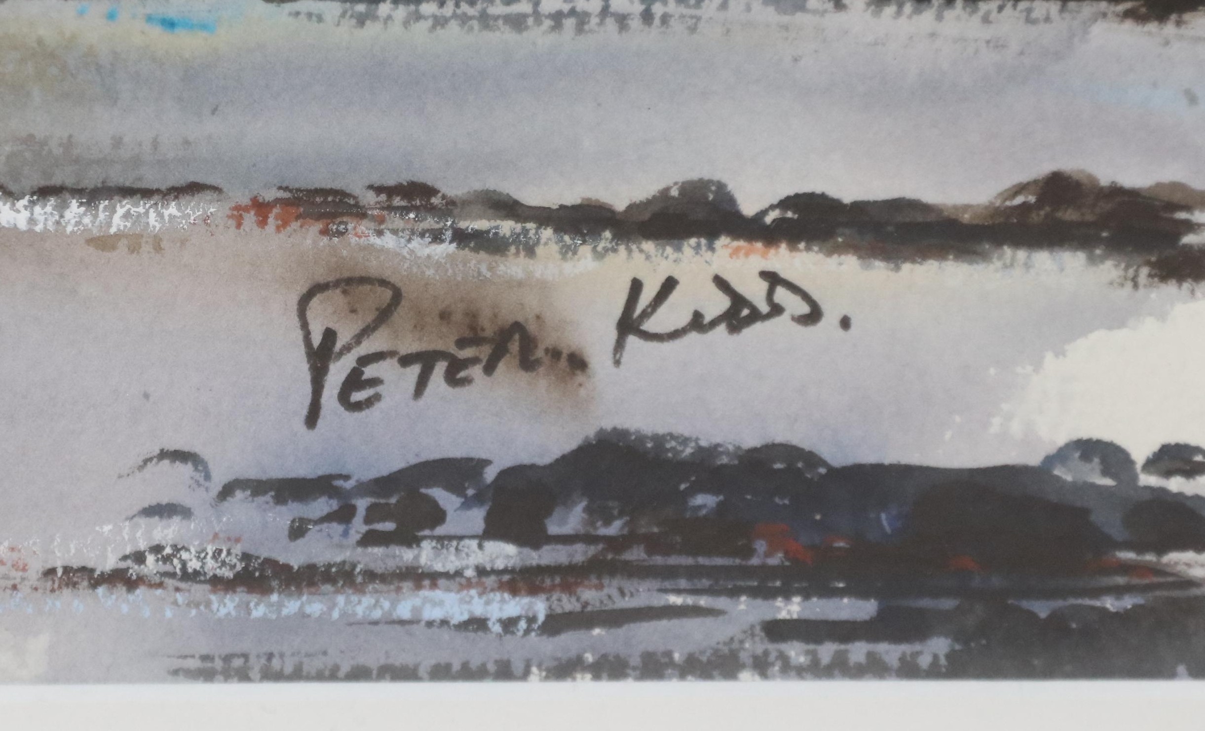 Artwork by Peter Kidd, White fronted plovers, Made of WATERCOLOUR