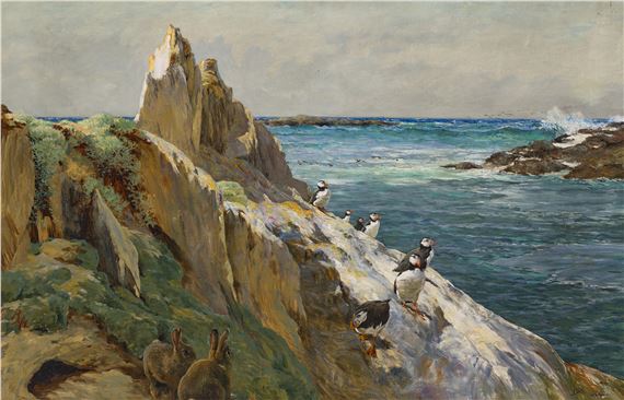 Invaders"The puffins often contend with the rabbits for the possession of some of the burrows." Yarrell. by Bryan Hook