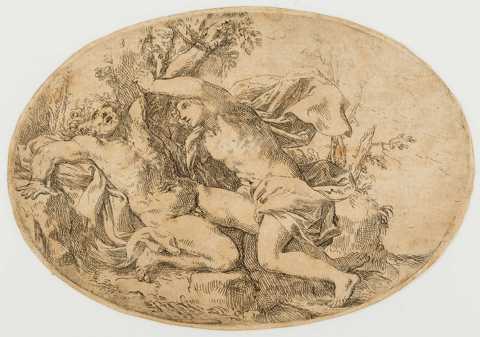 Artwork by Parmigianino, Judith, Made of Etching