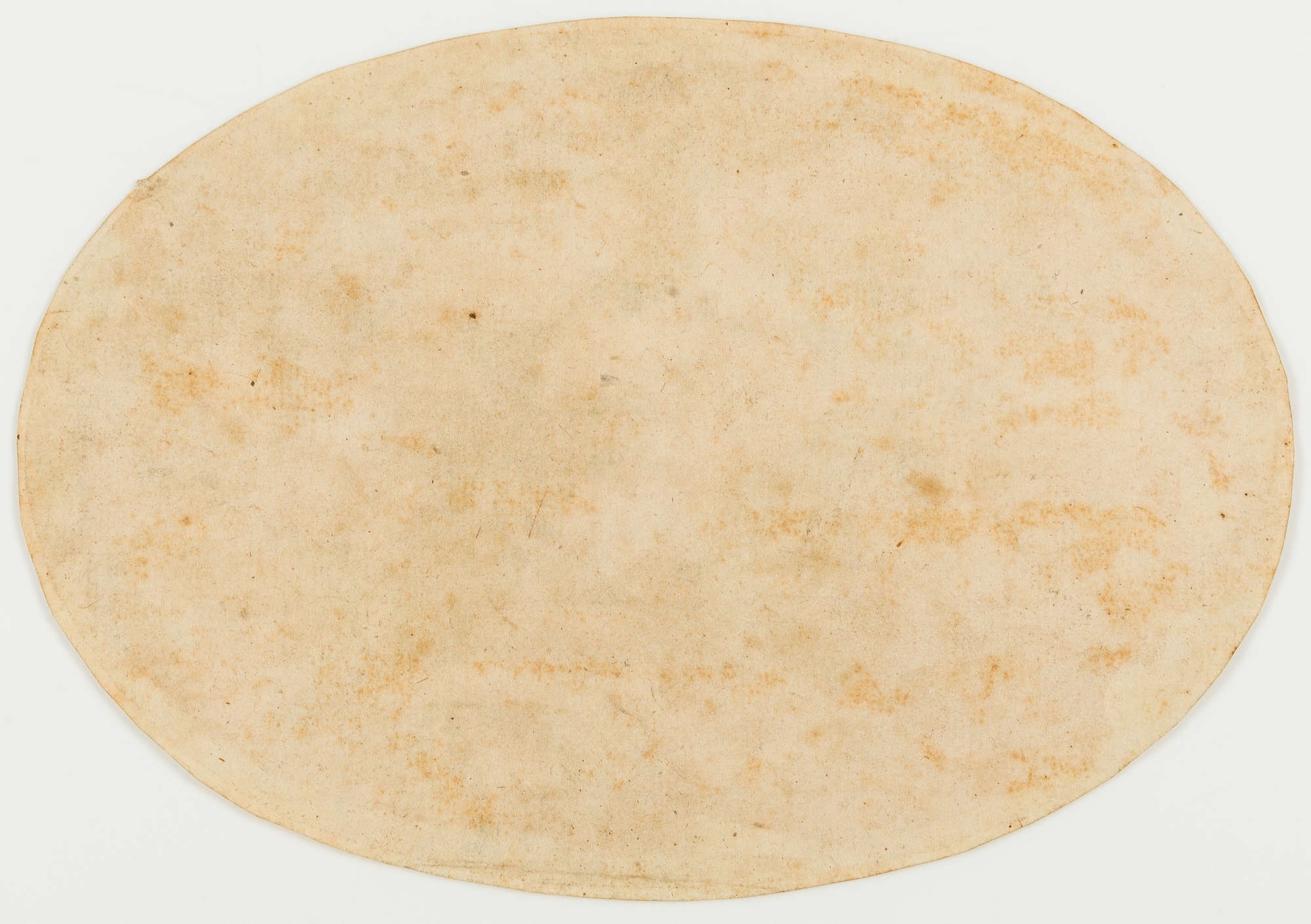 Artwork by Parmigianino, Judith, Made of Etching