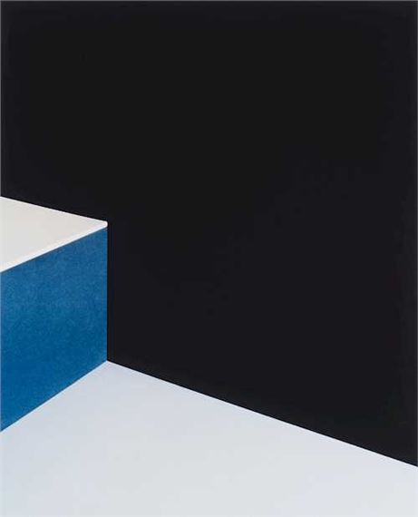 From the series 'Flowers, Fruits & Portraits by Shirana Shahbazi, 2010