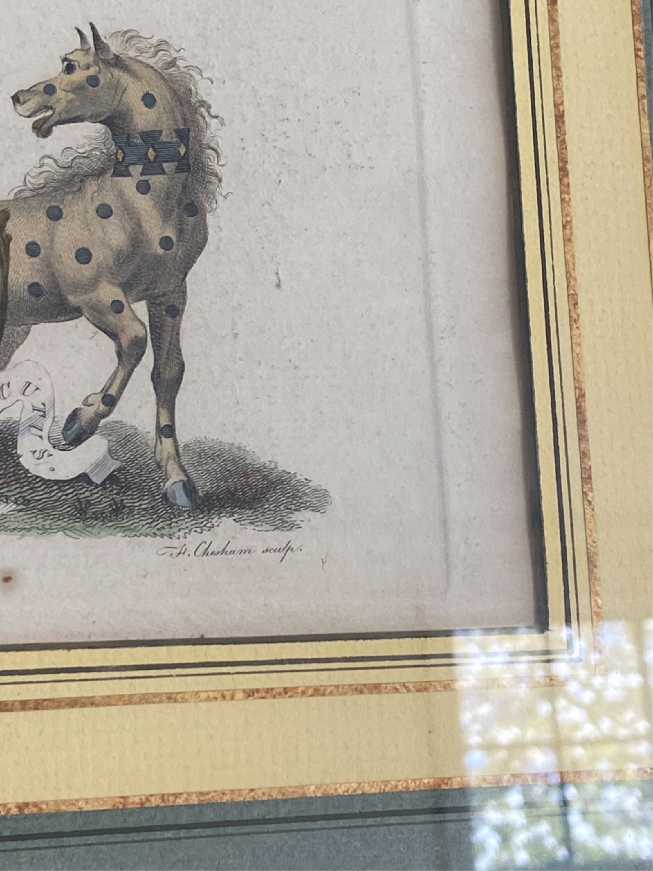 Artwork by Charles Catton the Elder, English Peerage, Made of HAND-COLORED COPPER ENGRAVINGS