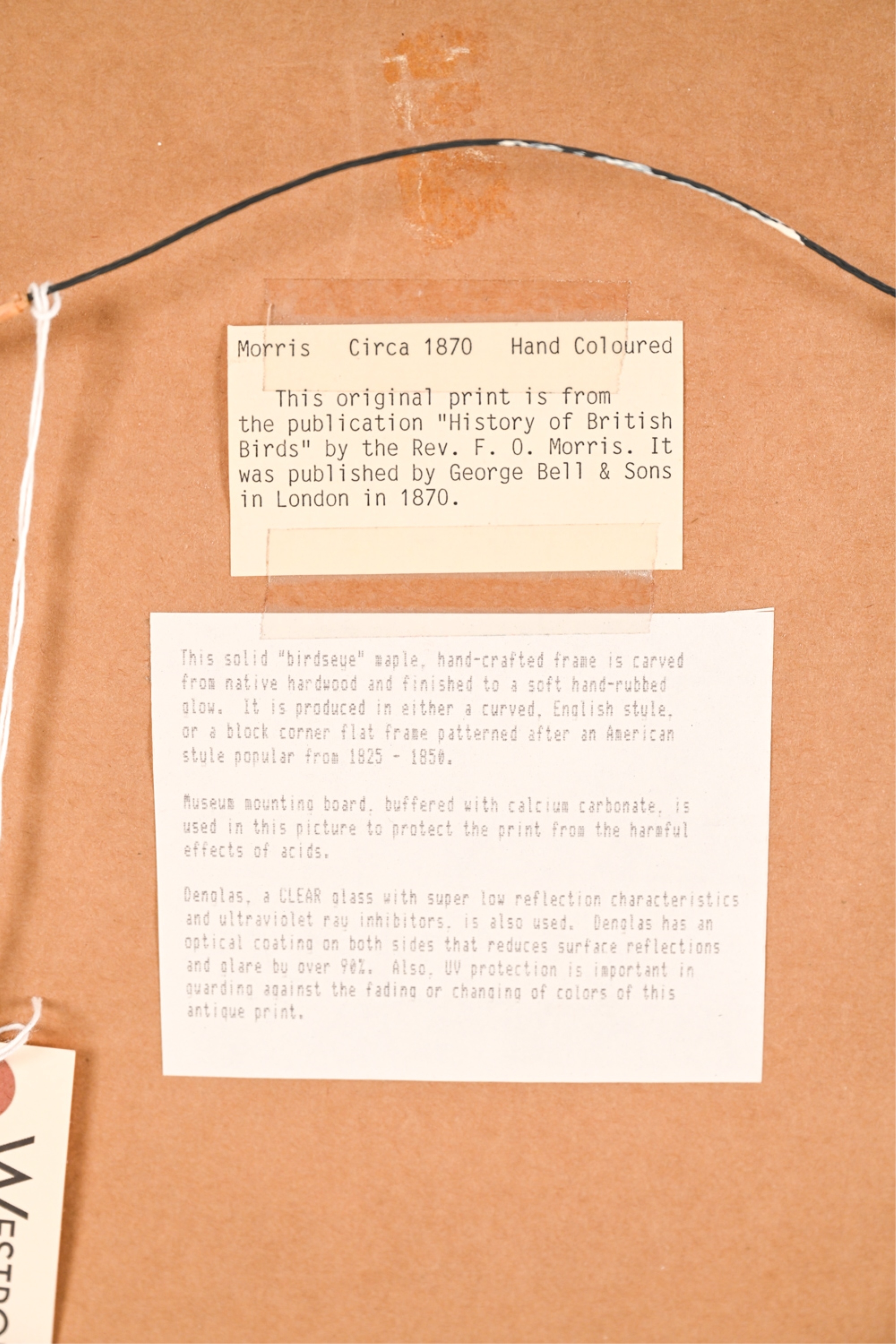 Artwork by Francis Orpen Morris, Wild Duck and Green-Winged Teal, Made of Hand colored engravings