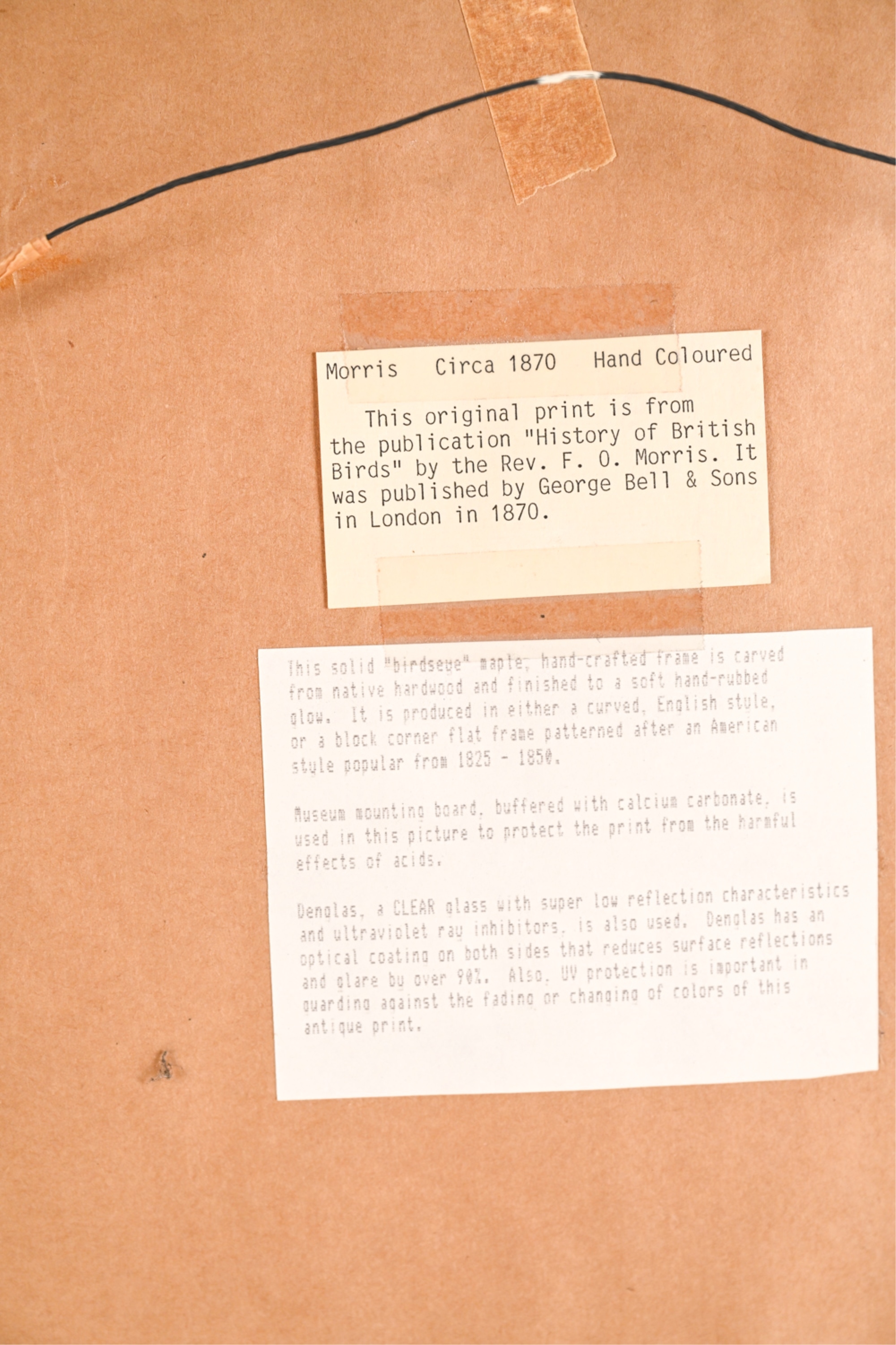 Artwork by Francis Orpen Morris, Wild Duck and Green-Winged Teal, Made of Hand colored engravings