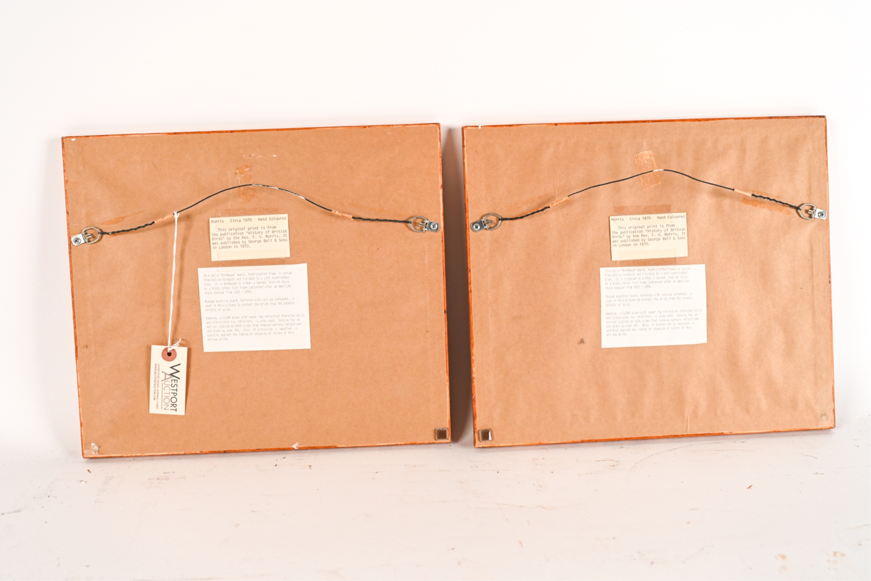 Artwork by Francis Orpen Morris, Wild Duck and Green-Winged Teal, Made of Hand colored engravings