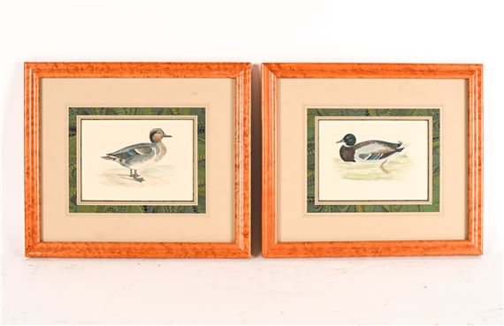 Wild Duck and Green-Winged Teal by Francis Orpen Morris, circa 1870