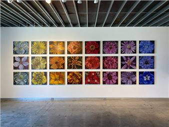 Nocturnal Sun - Southern California Art Projects and Exhibitions