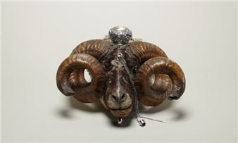 Macabre, Biased and Fascinating: Why You Should Visit the Wellcome Collection