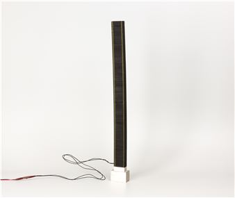 The Fly - Elizabeth McAlpine