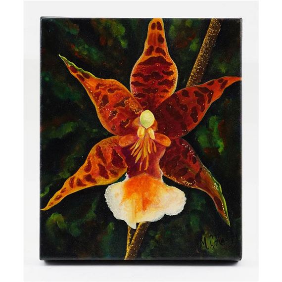 Etoile by Micheline Lamarre-Hadjis