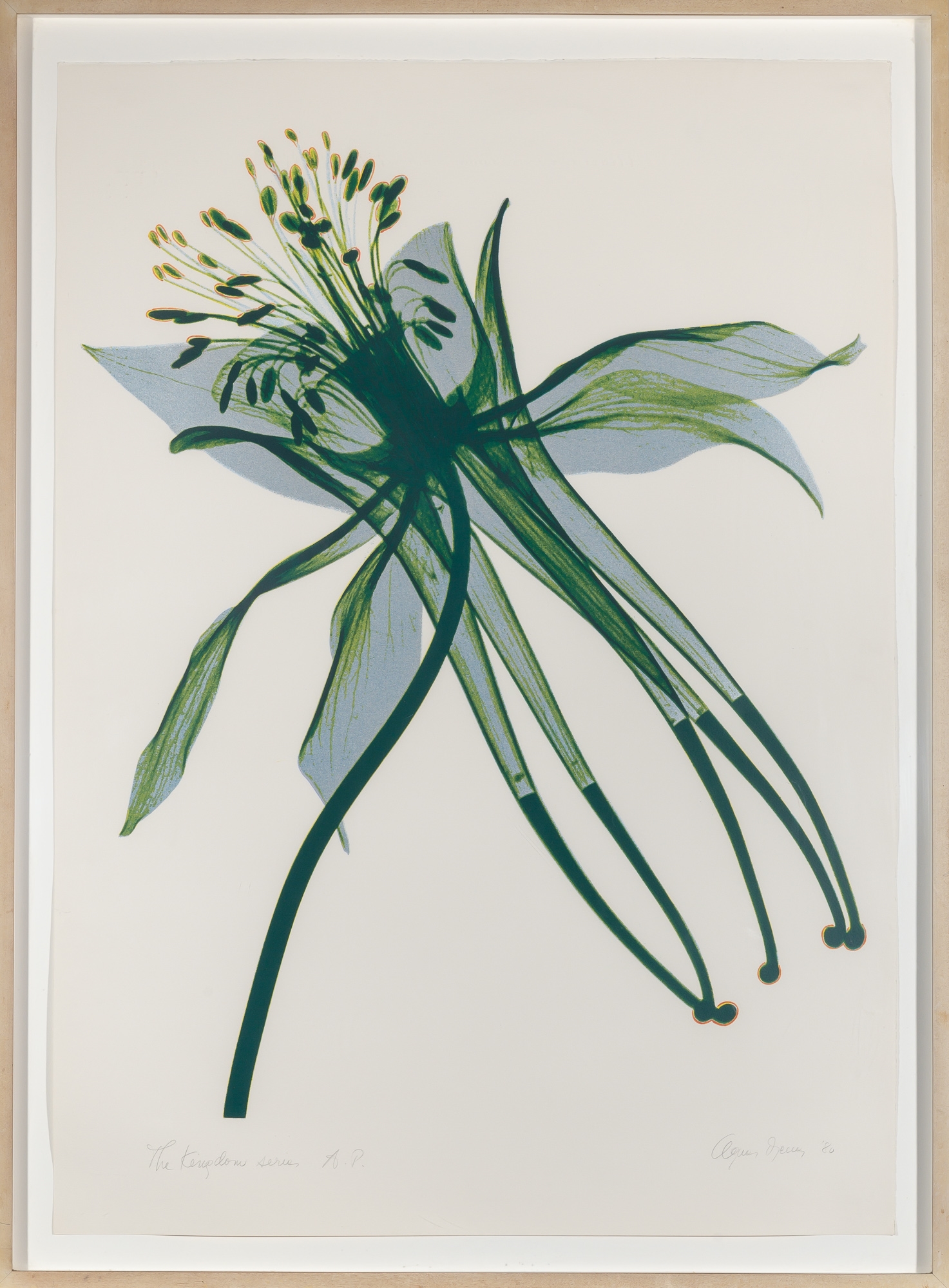 Artwork by Agnes Denes, [COLUMBINE], Made of Color lithograph and screenprint