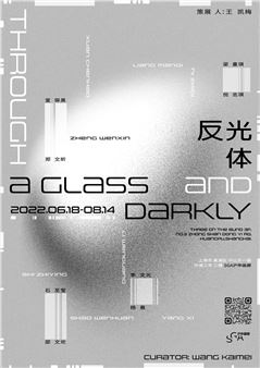 Through a Glass and Darkly - Shanghai Gallery of Art