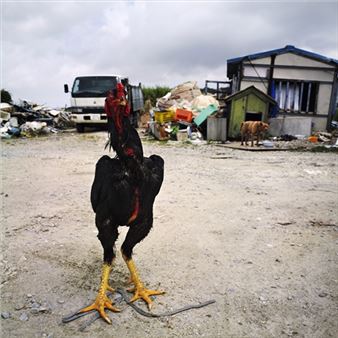 Collection1: Faraway Places / Nearby Places - National Museum of Art, Osaka (Kokuritsu Kokusai Bijutsukan)