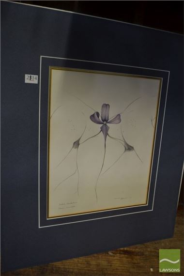 Flower Series by Edward Heffernan