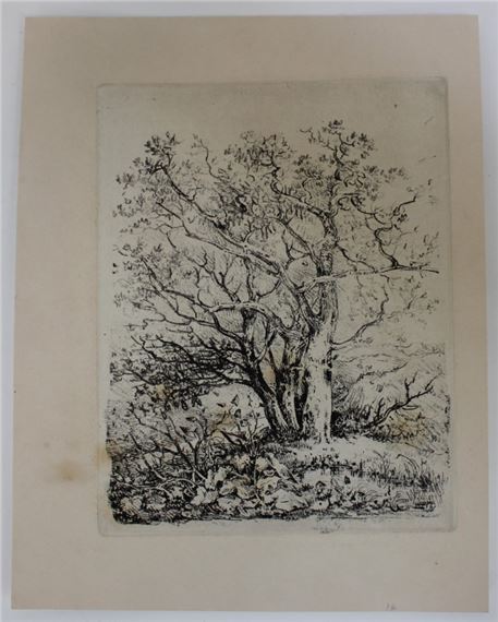 John Crome | Tree study | MutualArt