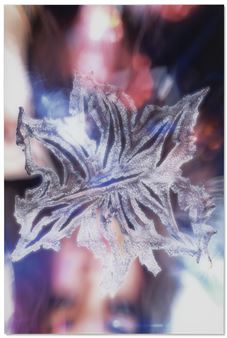 Son of Chaos - Jared Madere