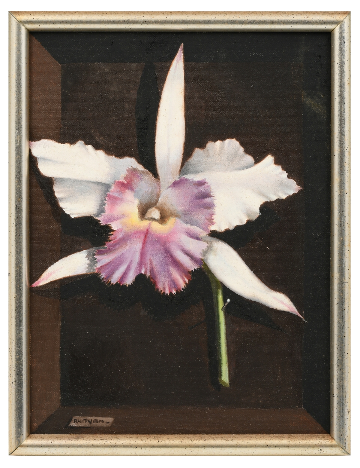 Artwork by Pablo Runyan, STILL LIFE