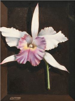 STILL LIFE - Pablo Runyan