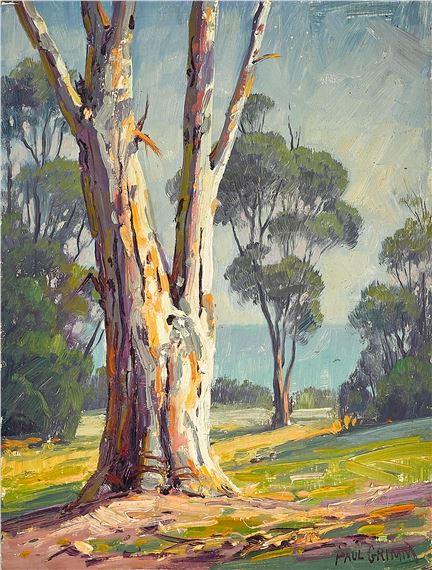 Summer Eucalyptus Landscapes