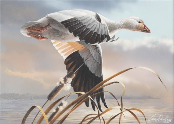 Snow Goose - Lester W. Didier
