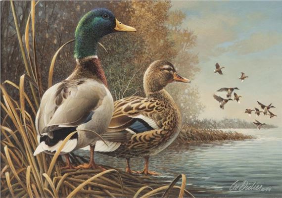 Mallards - Lester W. Didier