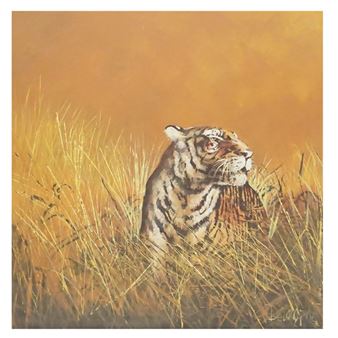 Tiger in the Wild - R. Delongprie