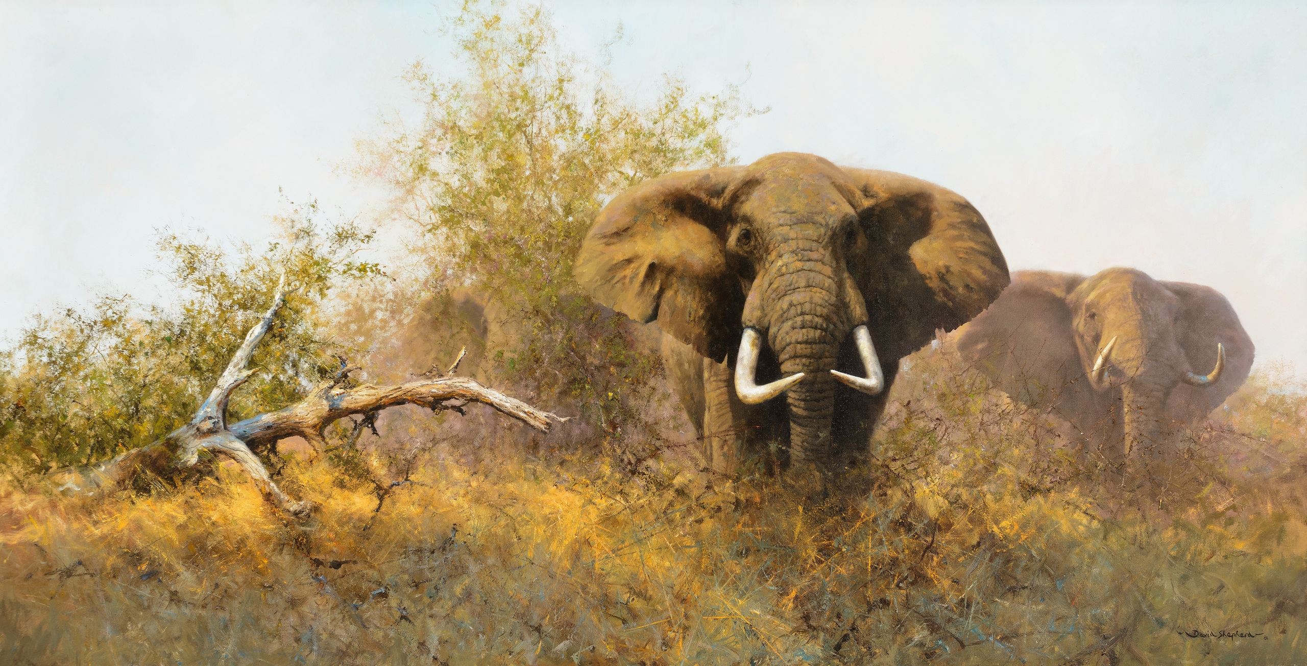 David Shepherd | Elephants in the Bush (1981) | MutualArt