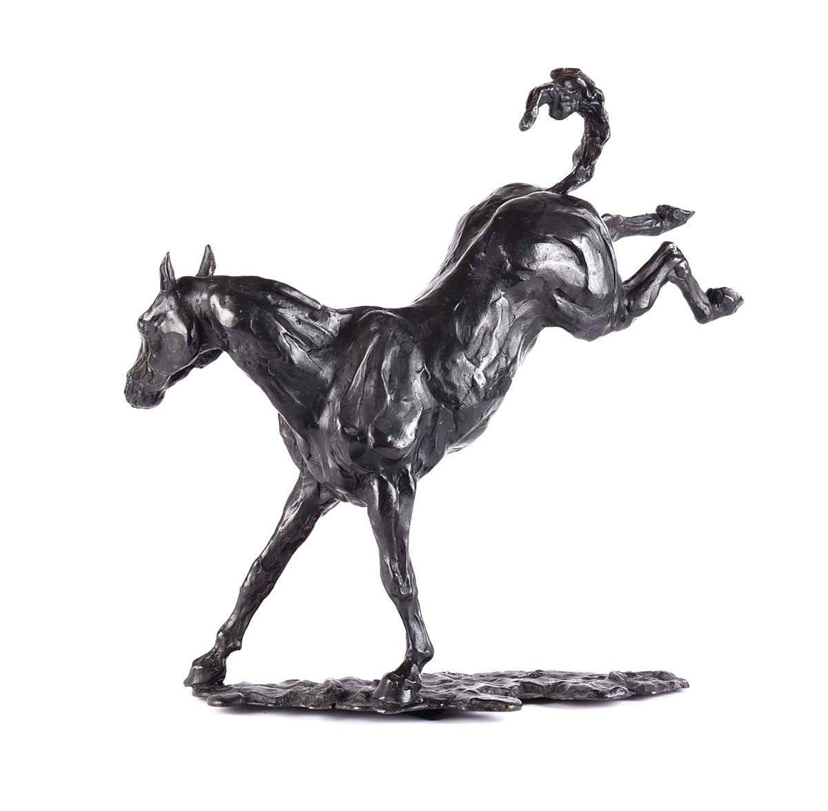 Siobhan Bulfin | FIGHTING BUCK | MutualArt