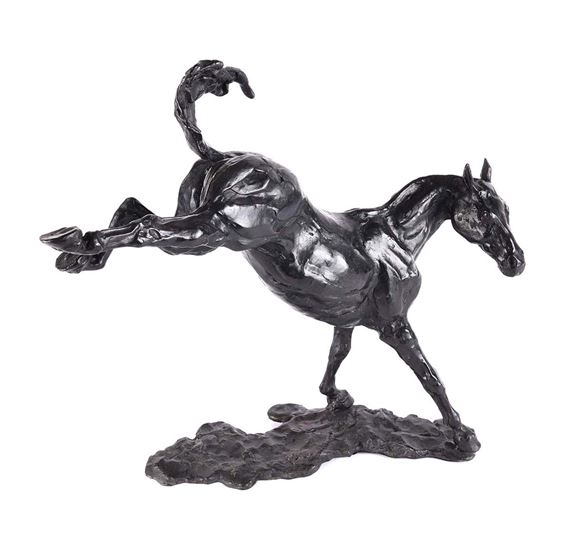 FIGHTING BUCK by Siobhan Bulfin